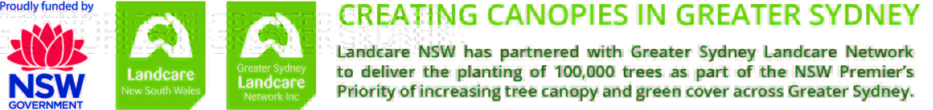 creating canopies in western sydney