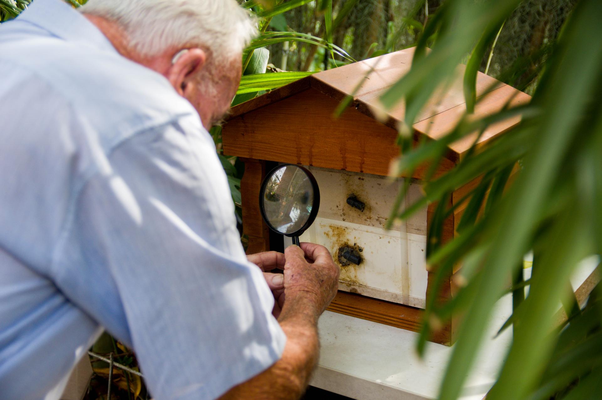 Bee hive man tending bee hive