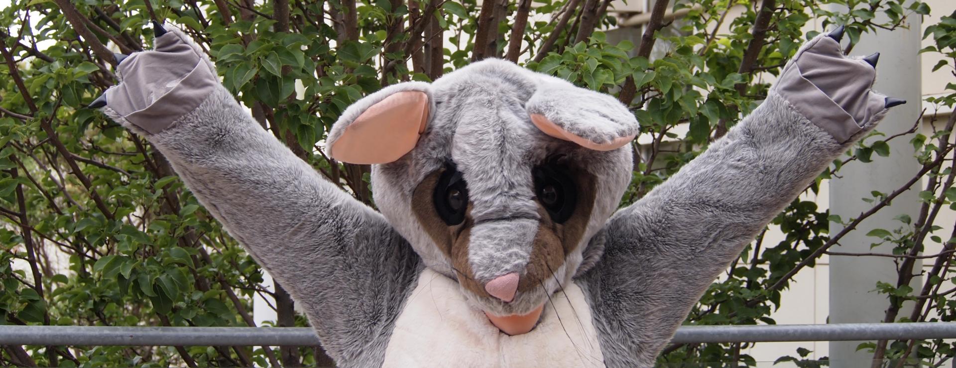 Poppy Events Poppy the Possum standing in front of a large tree with hands in the air