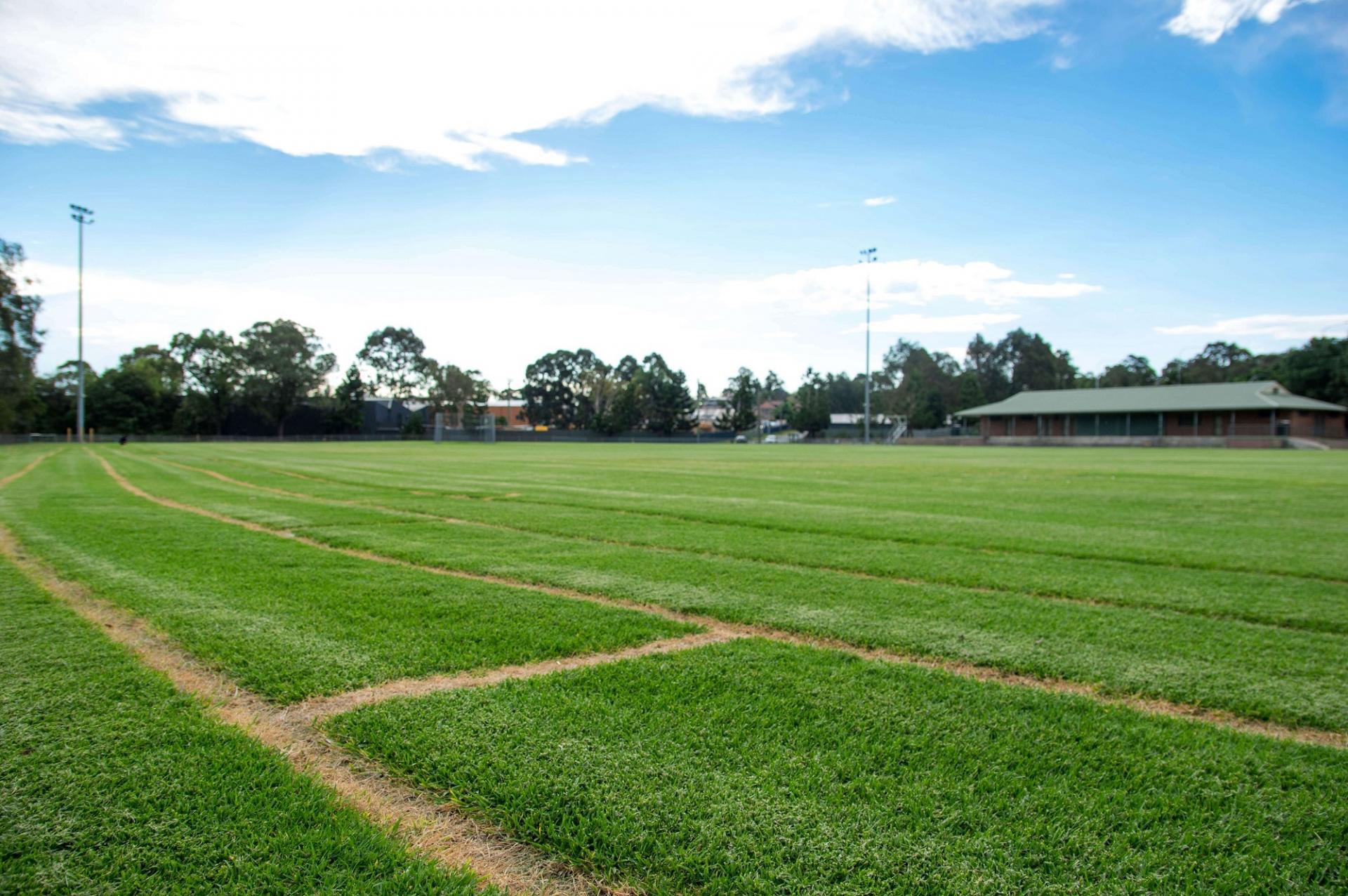 holroyd sportsground grass field