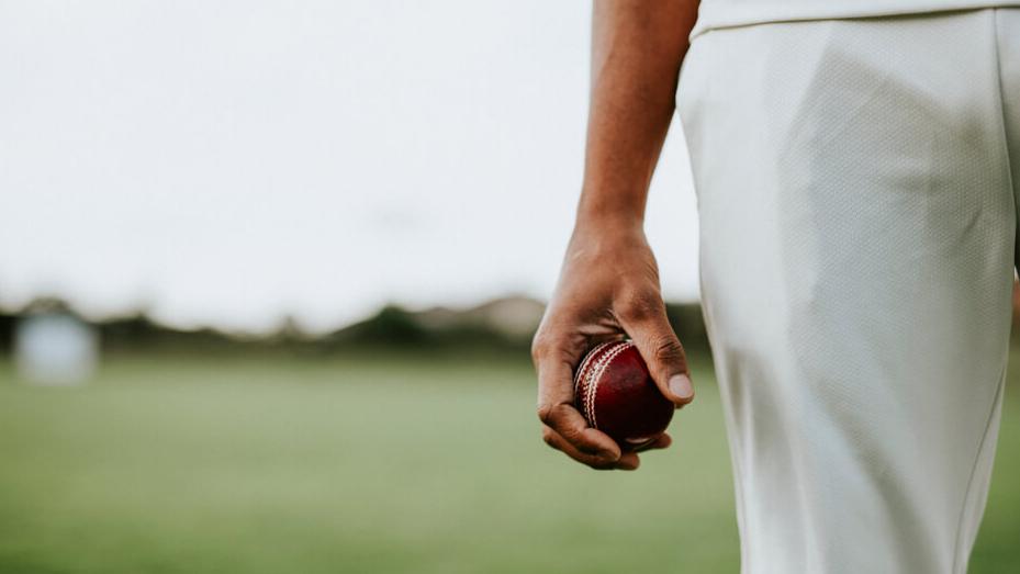 Playing Cricket