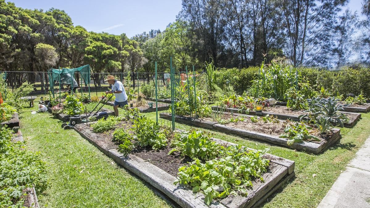 Community Garden