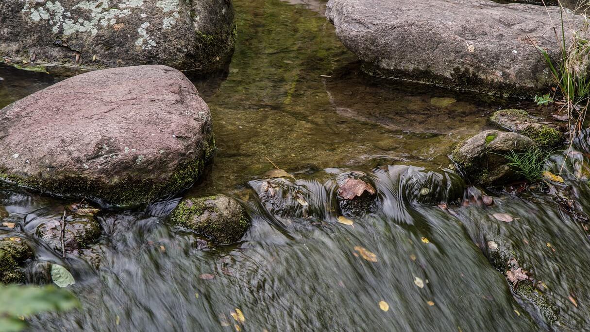 Stream